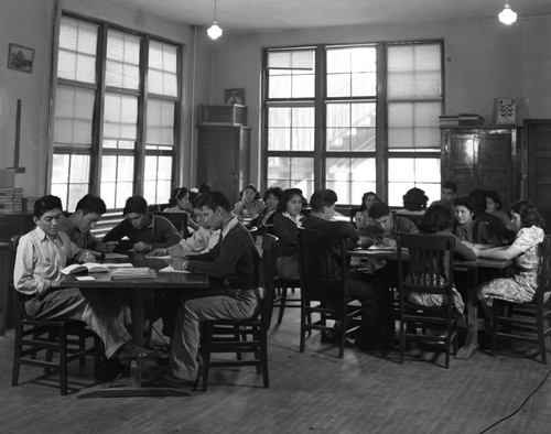 Students studying at tables