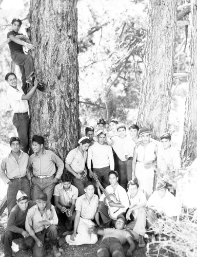 Group portrait of students socialize in woods