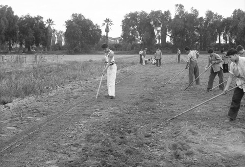 Students work on Sherman school farm