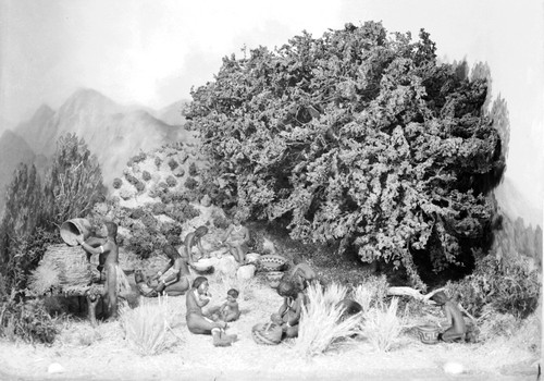 Diorama of Native American life