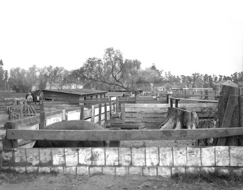 View of Sherman school farm