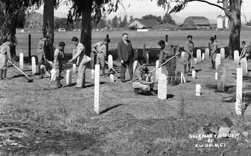 Cemetery maintenance