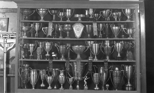 Trophy case