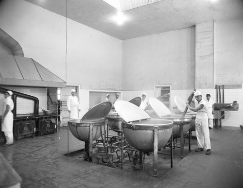 Students working in industrial kitchen