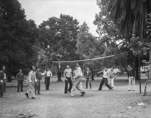 Students playing volleyball