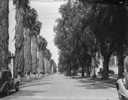 View of Sherman campus