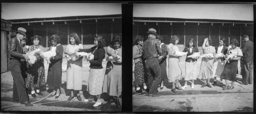 Students holding chickens