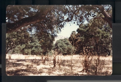 Castle Rock, Corral de Tierra ©1980 Merle Pearson