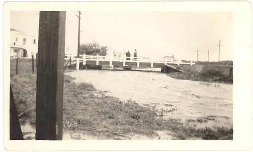 Santa Rita or Little Bear Creek, Santa Rita, California, Wilcox Photo 3, Digital Photo, © LaVerne Wilcox