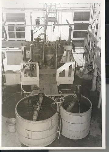 Guayule Project, Salinas, California; LH Ph. 416, Negative 416©1940s Salinas Public Library