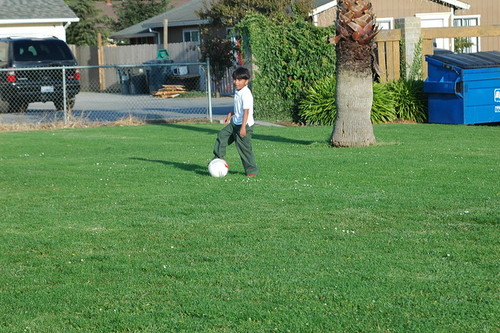 DSC_0315