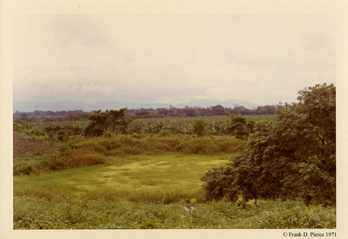 Bamama Import Company, Dominican Republic, Pierce Photo 85, © 1971 Frank D. Pierce
