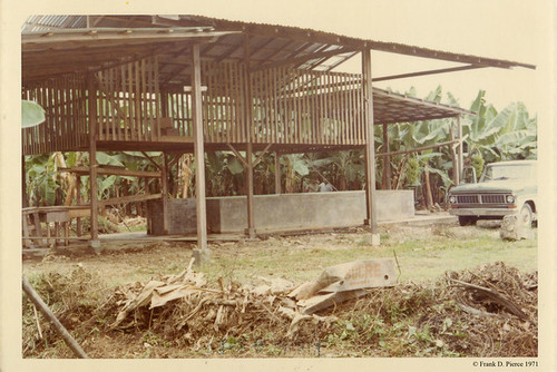 Banana Import Company, Dominican Republic, Pierce Photo 24, © 1971 Frank D. Pierce