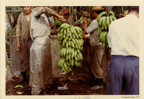 Banana Import Company, Dominican Republic, Photo 20, © 1971 Frank D. Pierce