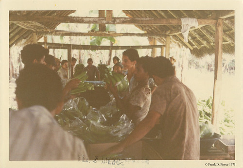 Banana Import Company, Guayaquil, Ecuador, Pierce Photo 41 © 1971 Frank D. Pierce 1971