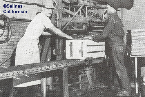 Agricultural Industries, LH Ph 1314, No Negative, ©Salinas Californian