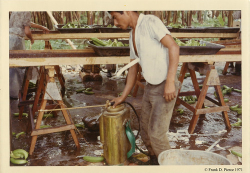Banana Import Company, Domincan Republic, Pierce Photo 100, © 1971 Frank D. Pierce