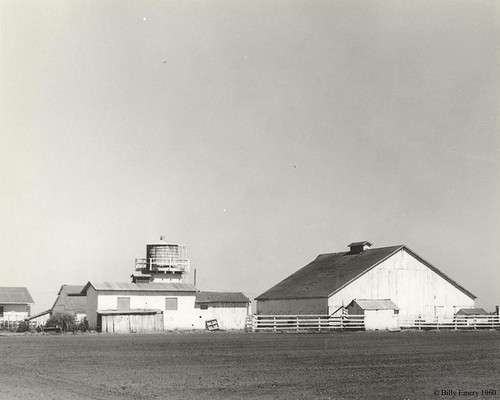 Ranch Buildings Monterey County LH144 © 1950 Billy Emery