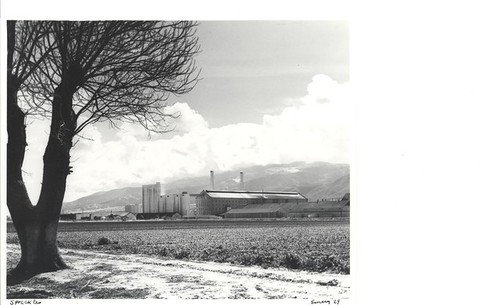 Spreckels Sugar Factory, Spreckels Boulevard, LH216, ©1979 Billy Emery