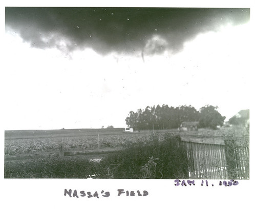 Massa's Field and Grocery, Santa Rita; LaVerne Wilcox Photo 14, Digital Photo© LaVerne Wilcox
