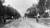 1911 - Olive Avenue