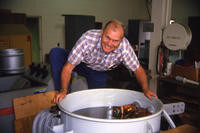 1980s - Public Services Department Staff: Paul Hoggatt