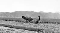 1910s - Farmer Harvesting