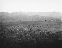 1900s - Burbank Farmland