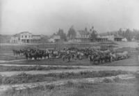 1890s - Local Agriculture