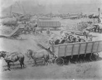 1890s - Local Agriculture