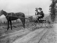 1910s - Couple in Horse and Buggy