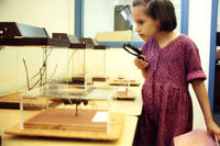 1993 - Natural History Museum of Los Angeles County, Burbank Branch Grand Opening