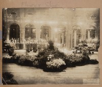 Flower show