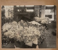 Flower show
