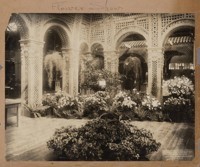 Flower show