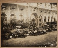 Flower show