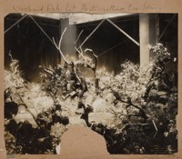 Orchard exhibit, Horticulture Building