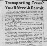 Transporting Trees? You'll Need a Permit