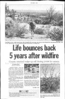 Life bounces back 5 years after wildfire