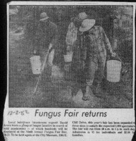 Fungus Fair returns