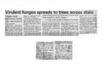 Virulent fungus spreads to trees across state