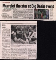 Murrelet the star at Big Basin event