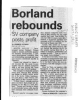 Borland rebounds