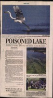 Poisoned Lake