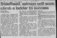 Steelhead, salmon will soon climb a ladder to success