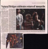 Natural Bridges celebrates return of Monarchs