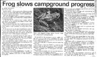 Frog slows campground progress