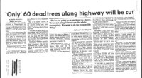 Only' 60 dead trees along highway will be cut