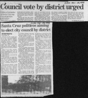 Council vote by district urged