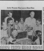Junior Museum class learns about bees